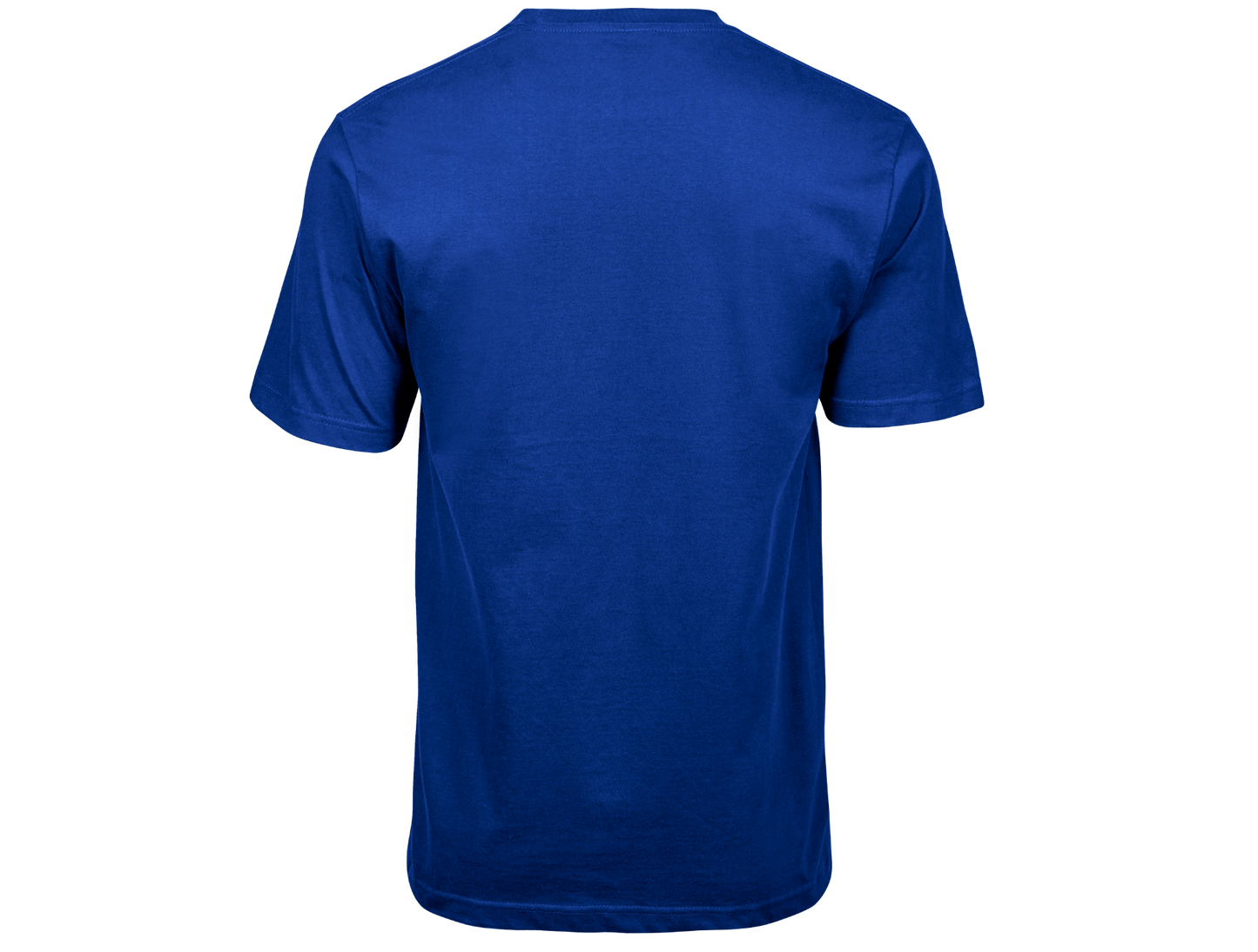 RG500 T-Shirt "Gamma"